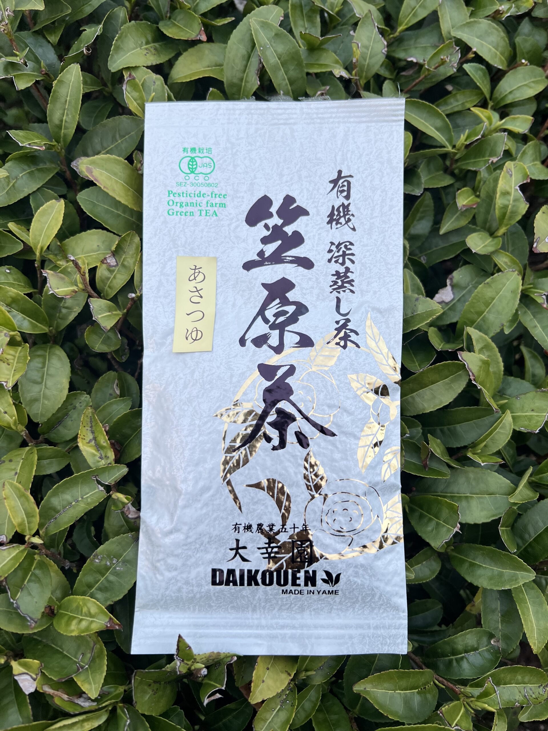 有機煎茶 あさつゆ